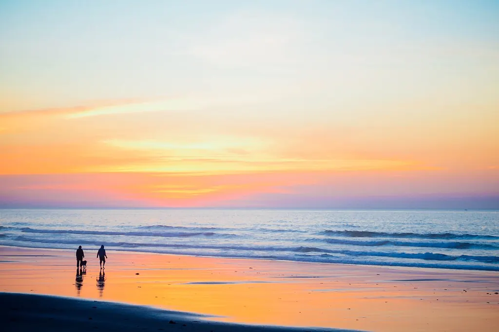 Deux promeneurs et leur chien, en silhouette, au bord de la mer au coucher du soleil