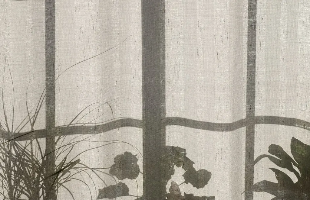 Le soleil du matin projette l'ombre d'une fenêtre et de plantes sur un rideau clair tiré